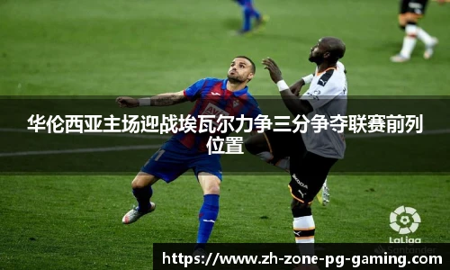 PG电子官方网站